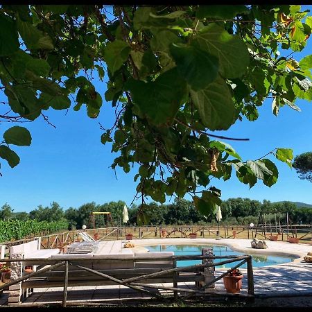 Marisma Villa Ravi Buitenkant foto