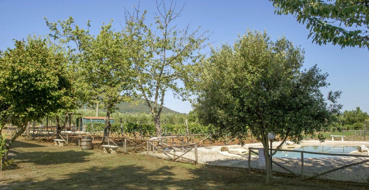 Marisma Villa Ravi Buitenkant foto